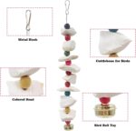 Natural Cuttlebone Bird Chew Toy - Hình 3