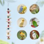 Natural Cuttlebone Bird Chew Toy - Hình 4