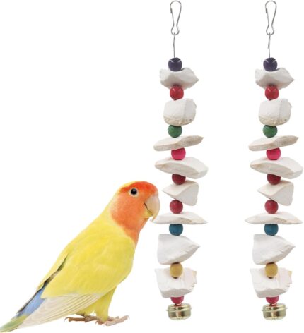 Natural Cuttlebone Bird Chew Toy