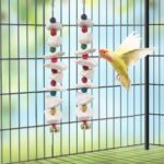 Natural Cuttlebone Bird Chew Toy - Hình 5