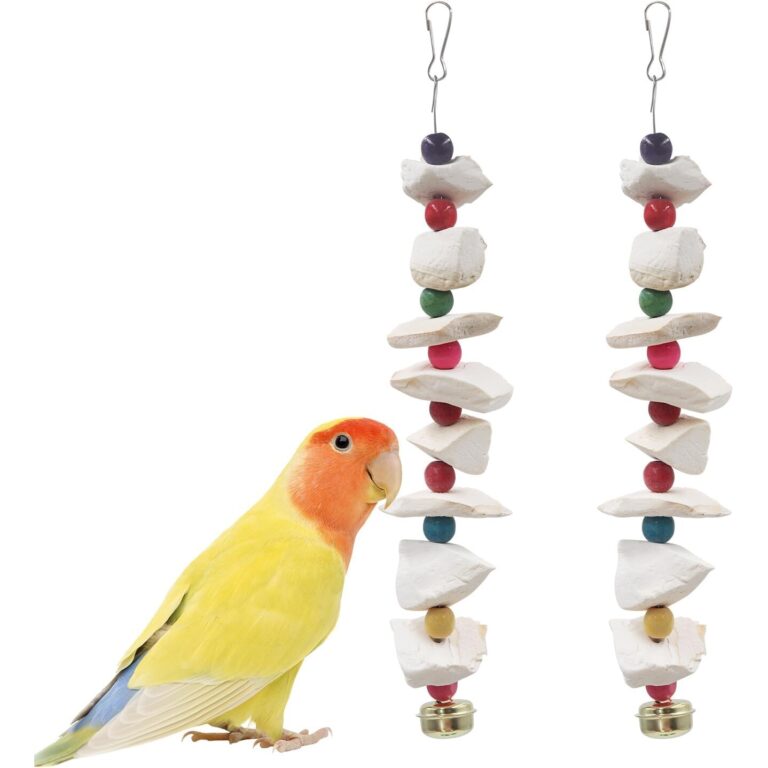 Natural Cuttlebone Bird Chew Toy - Natural Cuttlebone & Wood Bird Chew