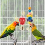Colorful Wooden Bird Toys - Hình 4