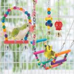 Colorful Wooden Bird Toys - Hình 6