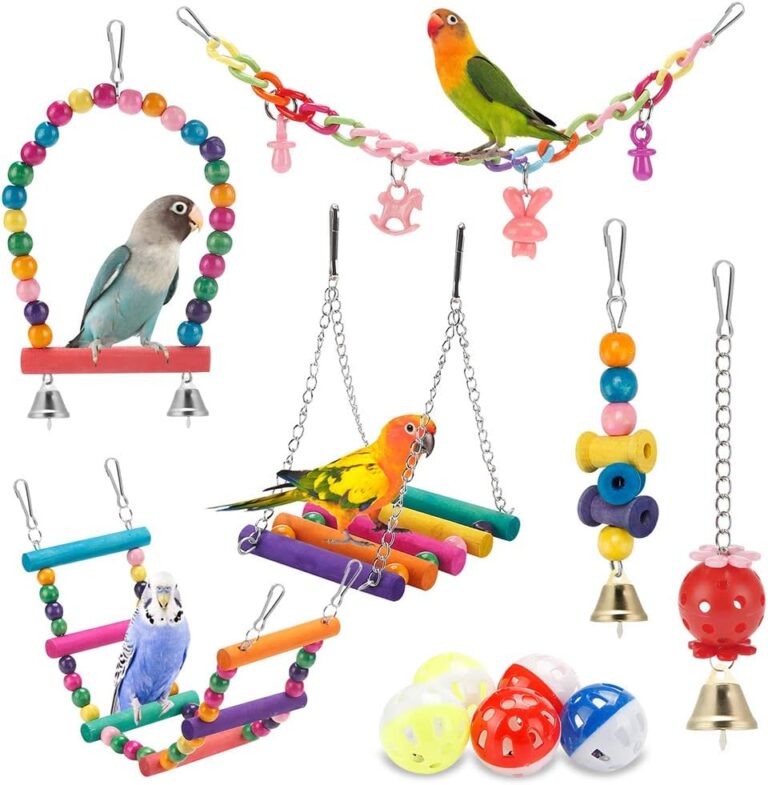 Colorful Wooden Bird Toys & Perches Set for Parakeets