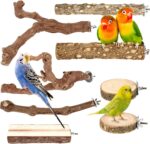 Natural Apple Wood Bird Perches - Hình 11