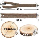 Natural Wood Bird Perch Set - Hình 2