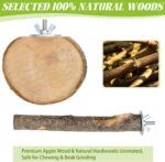 Natural Apple Wood Bird Perches - Hình 2