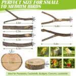 Natural Apple Wood Bird Perches - Hình 3