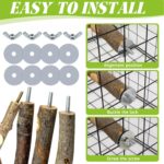 Natural Apple Wood Bird Perches - Hình 5