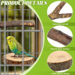 Natural Apple Wood Bird Perches - Hình 6