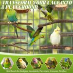 Natural Apple Wood Bird Perches - Hình 7