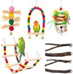 Natural Apple Wood Bird Perches - Hình 8