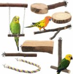 Natural Apple Wood Bird Perches - Hình 9