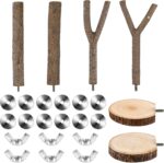 Natural Wood Bird Perch Set - Hình 3