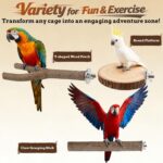 Natural Wood Bird Perch Set - Hình 5