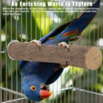 Natural Wood Bird Perch Set - Hình 6