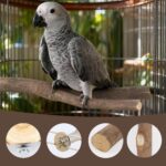 Natural Wood Bird Perch Set - Hình 7