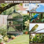 Natural Wood Bird Perch Set - Hình 9
