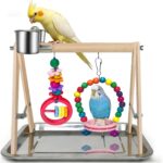 Wooden Bird Play Stand