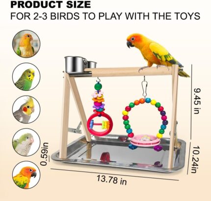 Wooden Bird Play Stand - Hình 2
