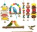 Vibrant Bird Chewing Set