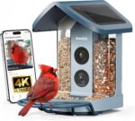 Kiwibit 4K Solar Smart Bird Feeder