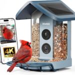 Kiwibit 4K Solar Smart Bird Feeder