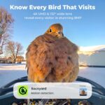 Kiwibit 4K Solar Smart Bird Feeder - Hình 2