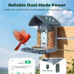 Kiwibit 4K Solar Smart Bird Feeder - Hình 3
