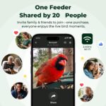 Kiwibit 4K Solar Smart Bird Feeder - Hình 5