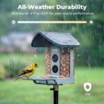 Kiwibit 4K Solar Smart Bird Feeder - Hình 6