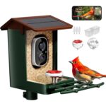 Smart Bird Feeder Camera - Hình 10