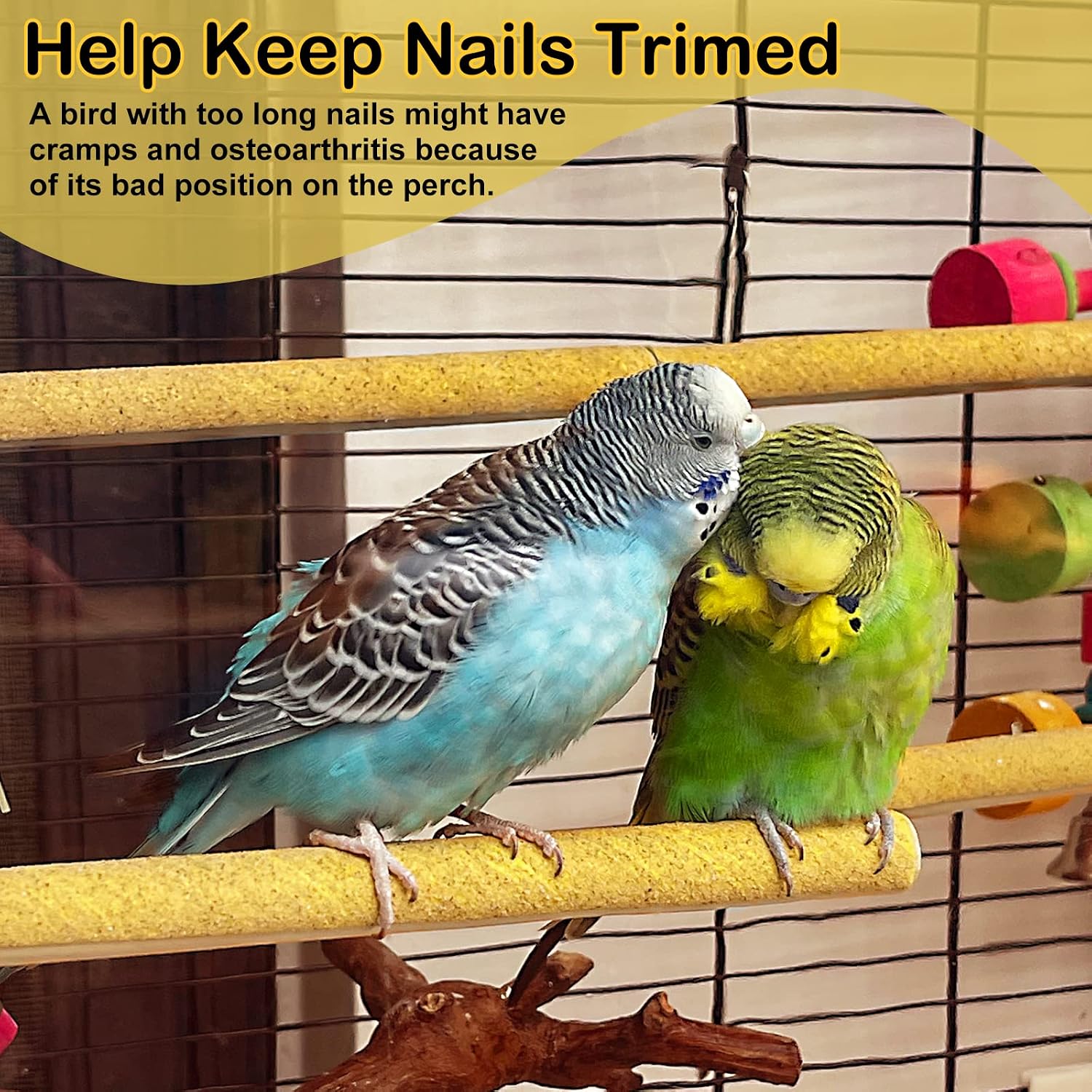 Pet Bird Nail Trimming Perches - Hình 2